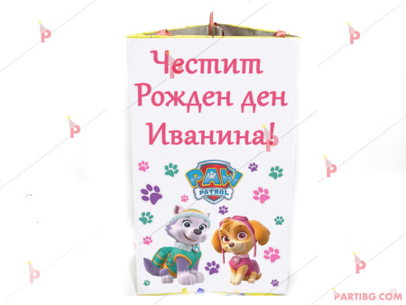 Пинята с декор Пес патрул - Скай и Еверест / Paw Patrol