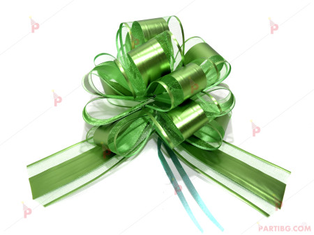 Панделка за подарък в зелено