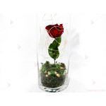 Вечна роза в стъклена ваза със светеща декорация | PARTIBG.COM