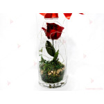 Вечна роза в стъклена ваза със светеща декорация (бяло) | PARTIBG.COM